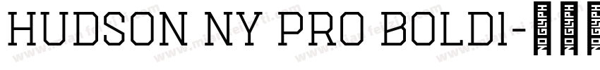 Hudson NY Pro Bold1字体转换